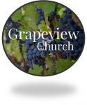 Grapeview Logo button
