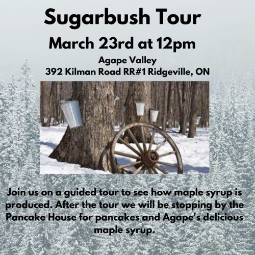 sugarbush march23
